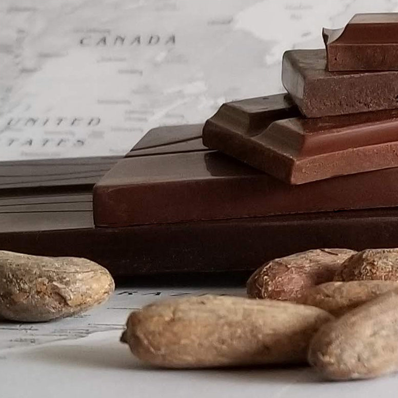 4 bean to bar chocolate samples with cocoa beans