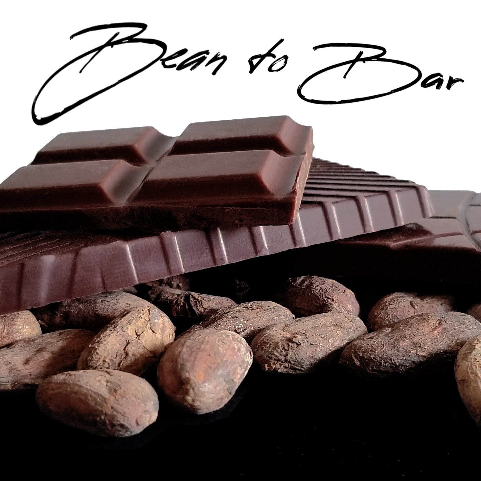 bean to bar chocolate and cocoa beans